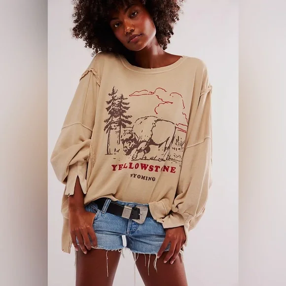 🆕FREE PEOPLE YELLOWSTONE We The Free Graphic Camden Pullover-Size Small - Picture 2 of 15